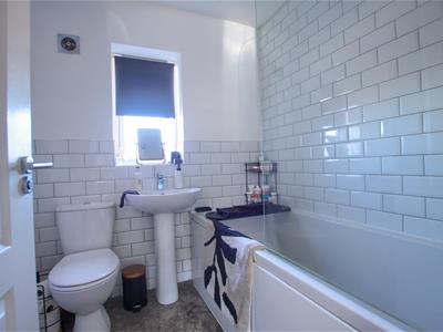 Picture 12